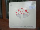 Mushroom Early One Morning Hawk HALPX 116 Ireland 1973 Rarest Prog Rock