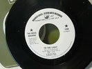 Psych 45  The Music Machine  