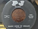Jo Ellen Stranded / Magic Door Of Dreams Rare 45 PJ Records 1101