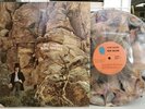 Dave Mason - Alone Together Blue Thumb LP NM- FOLD OUT COVER MARBLE VINYL STEREO