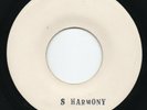 RARE 70's UKNOWN BLANK -  SWEET HARMONY - ?? REGGAE DUB 7 