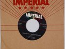 BILL ALLEN & BACK BEATS: Please Give Me Something IMPERIAL ’58 Rockabilly 45 NM