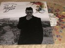Panic  At The Disco Too Weird To Live To Rare To Die  Splatter Hot Topic Vinyl
