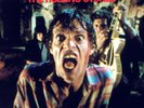 Rolling Stones  12
