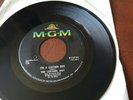 THE LEATHER BOY I'm A Leather Boy rare original 1967 fuzz/psych 7