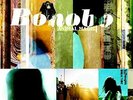 BONOBO-ANIMAL MAGIC (DLCD) (UK IMPORT) VINYL LP NEW