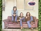 SEALED Crosby Stills Nash SD 19117 HYPE STICKER WOW