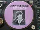 Donny Osmond - Puppy Love Rare 12