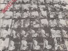 STIFF LITTLE FINGERS Suspect Device / Wasted Life ps 1978 Rigid Digits Red Label