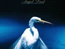 Faith No More - Angel Dust (Deluxe Ed. 180g 2LP gatefold w. download) - Vinyl -
