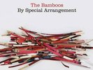 The Bamboos By Special Arrangement vinyl 2 LP gatefold NEW/SEALED