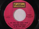 SEBASTIAN WILLIAMS: The One You Can't Have / Shucks 45 Soul