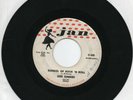 Gene Summers  School Of Rock 'N Roll On Jan Original  45  Rockabilly