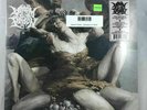 Venom Prison - Samsara LP NEW