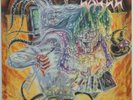 EXCEL Split Image 1987 US ORG Thrash METAL LP Suicidal VENICE Muir SEIFF Telefx