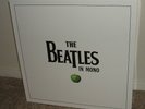 The Beatles in Mono Vinyl LP Box Set Brand New