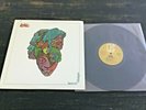 Love - Forever Changes 180 GRAM REISSUE LP AAA Chris Bellman