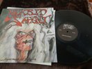 MORBID SAINT SPECTRUM OF DEATH GERMAN ORIG. ON NO COLOURS #262 OF 300  WOW