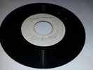 BLANK/FREE I LORD - LARRY MARSHALL & ALVIN LESLIE [ROOTS REGGAE]  7