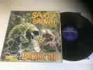 SAVOY BROWN..LOOKING IN...RARE UK FIRST ISSUE ALBUM...DECCA SKL 5066