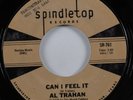 Funk 45 AL TRAHAN Can I Feel It SPINDLE TOP HEAR