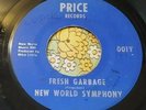 Epic Michigan Garage Psych Fuzz 45 New World Symphony Fresh Garbage HEAR
