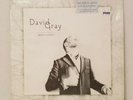 DAVID GRAY - FOUNDLING VInyl LP 2010 NM