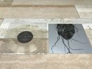 Amenra Treha Sektori Split Clear Vineyl 10