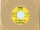 THE BRENTWOODS rare psych garage sunshine 45 Our Records Norman Petty New Mexico