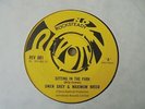 Owen Grey & Maximum Breed - Sitting In The Park 1968 UK 45 SKA/ROCKSTEADY