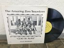 Rare The Amazing Zion Travelers 