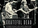 THE GRATEFUL DEAD 