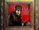 TALKING HEADS 