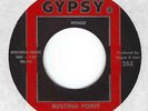 INSTRUMENTAL SURF - THE TORQUAYS on GYPSY - 