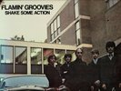 Flamin`Groovies - Shake Some Action, 1976 Sire Records, Printed in U.S.A.