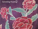 Todd Rundgren : Something/Anything? VINYL Limited  12