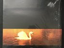 VAN MORRISON Avalon Sunset SHRINKWRAP A-1U/B-1U 1st UK POLYDOR VINYL LP NM