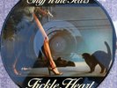 Sniff N The Tears ORIG GER Picture Disc LP Fickle heart EX ’78 Chiswick New wave