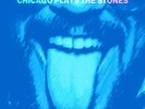 Mick Jagger, Keith Richards, Buddy Guy - Chicago Plays the Stones ( VINYL  2LP )