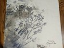 Sigur Ros Hoppipolla 12