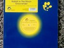 Stone Roses - Fools Gold : The Remixes (1999) Jive Records   12