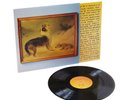 Explosions In The Sky - The Rescue Vinyl LP (Anniversary Edition)