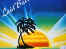 Laid Back - Sunshine Reggae / White Horse (M/EX) [07-1136] vinyl LP