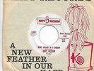 Northern Soul Popcorn 45 JERRY JACKSON Wide Awake In A Dream/She Lied Kapp Promo