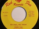 TERRY LEE: Hey Baby, Hey Sugar / Part Iii 45 (wild two-side intro on Red Fox)
