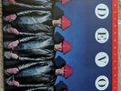 Devo freedom of choice vinyl colored limited edition 35th anniversary