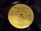 Bamboo Steel Band Tapscott Street / Hot Steel BIR 7