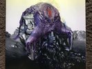 Vulnicura [LP] [Bonus Track] Björk (Vinyl, Mar-2015, One Little Indian) Bjork