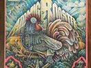 Atomic Rooster Made In England Vinyl LP 1972 Elektra EKS-75039