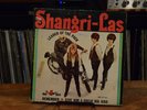 SHANGRI-LAS Leader Of The Pack RED BIRD LP mono